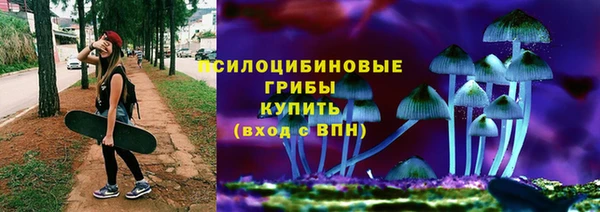 молекула духа Алексеевка
